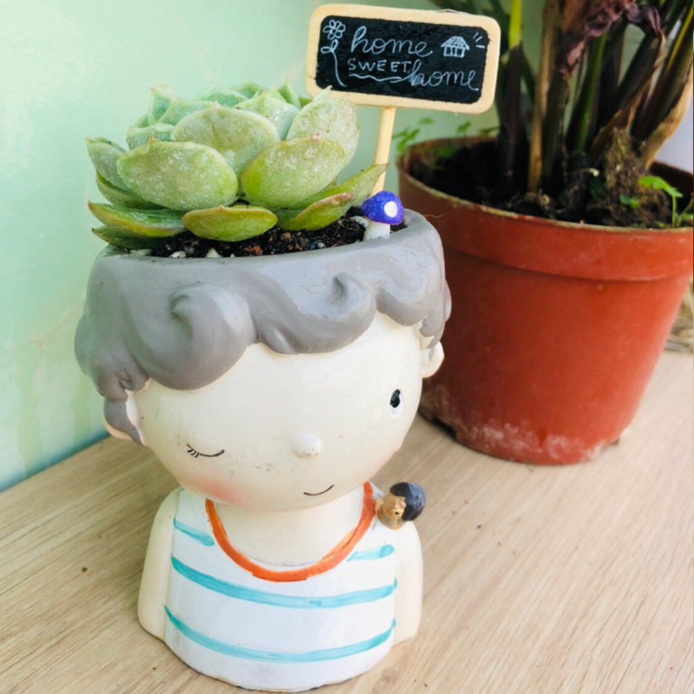 Chậu Cây Sen Đá Xương Rồng Hình Cậu Bé Tóc Xoăn Và Chú Chim Đậu Trên Vai Trang Trí Bàn Làm Việc