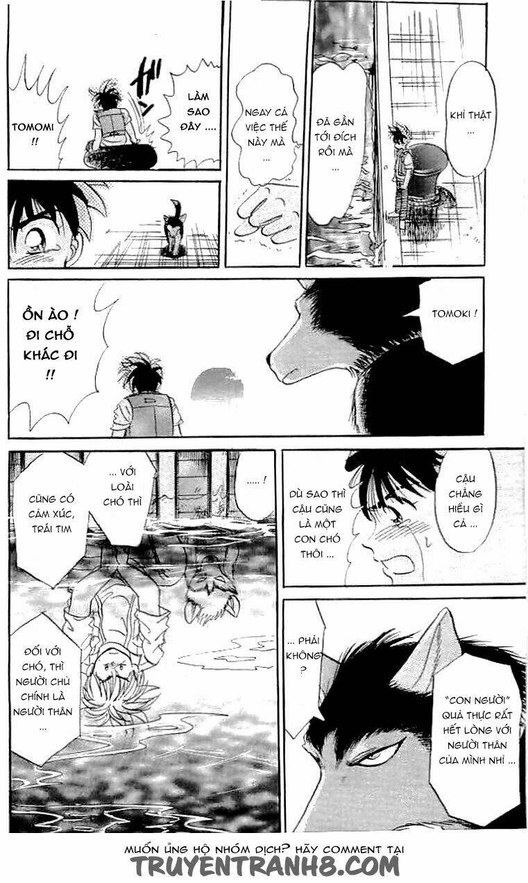 wild half chapter 6.5 18