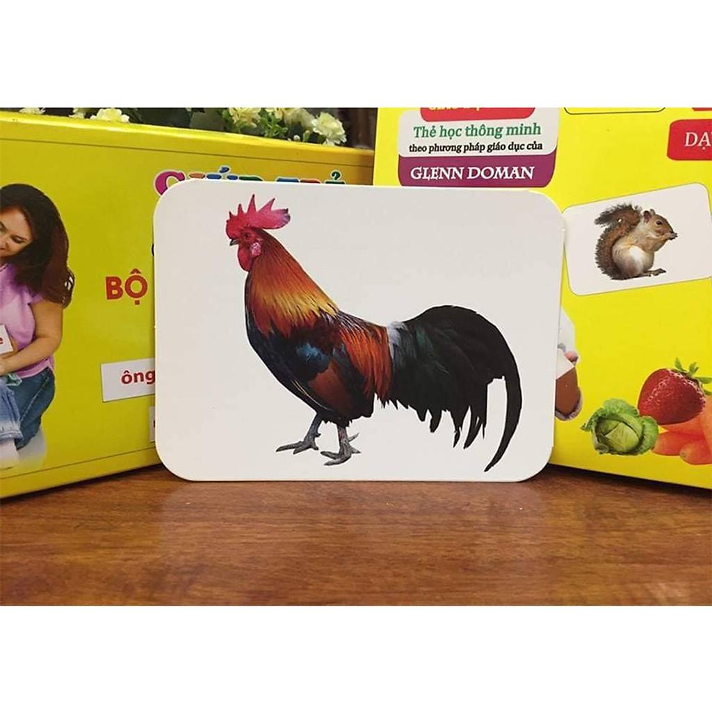 Bộ Thẻ  Học Flashcard Thông Minh Cho Bé 19 Chủ Đề Loại Lớn - Hàng Việt Nam Cao Cấp Chính hãng Amalife