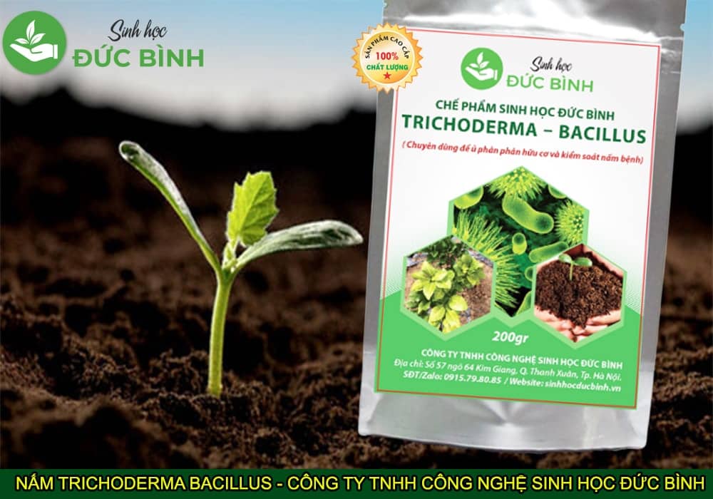 Chế Phẩm Men Vi Sinh Nấm Đối Kháng Trichoderma Bacillus Đức Bình - Bón Gốc Ủ Phân Hữu Cơ 200gr