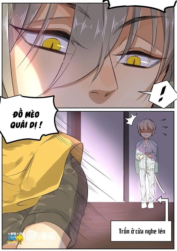 cứu mạng ! loài mèo thống trị thế giới rồi ! chapter 10 10