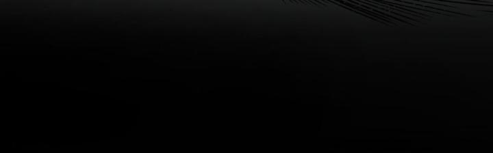 Tạng Phong Hành chapter 207 48