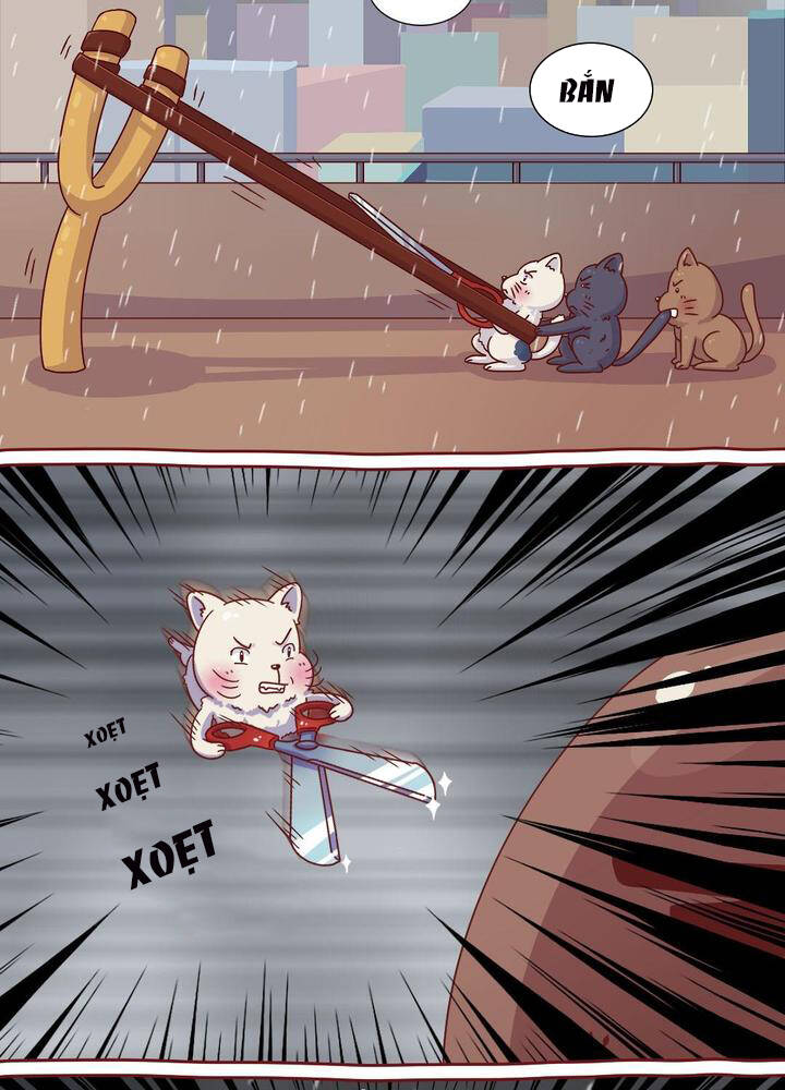 cây nấm kì khả chapter 18 10