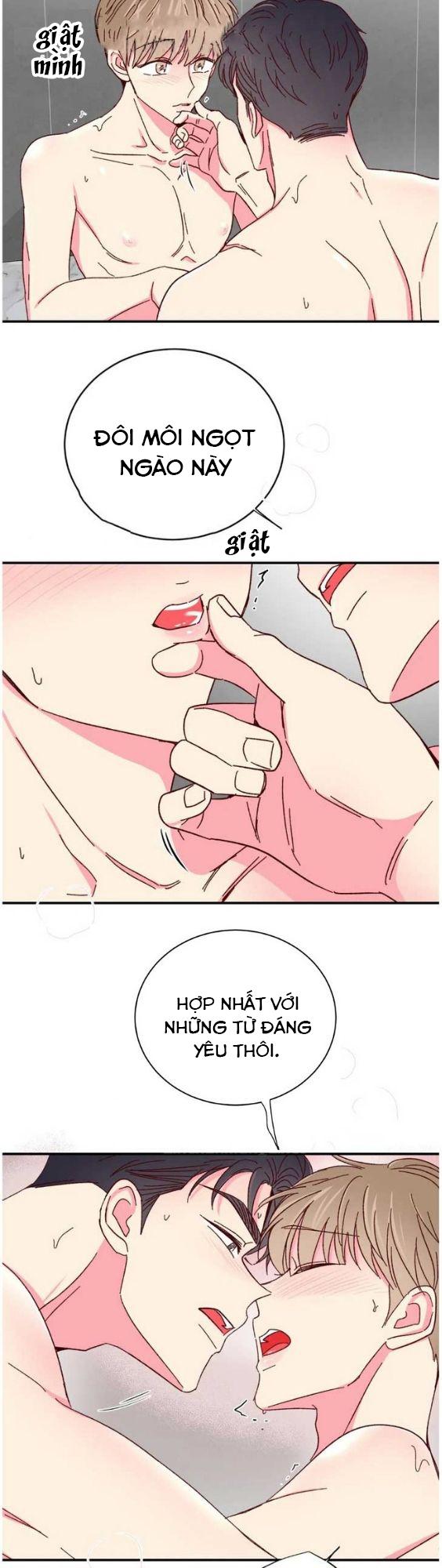 món tráng miệng của sếp tổng chapter 70 19