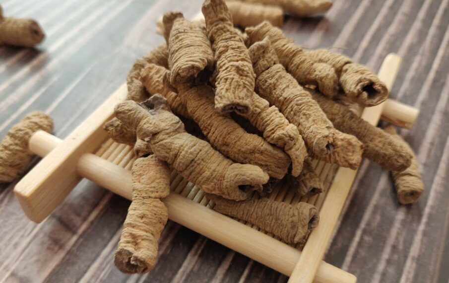 500g Ba Kích Tím Sấy Khô Đã Tách Lõi Nguyên Chất