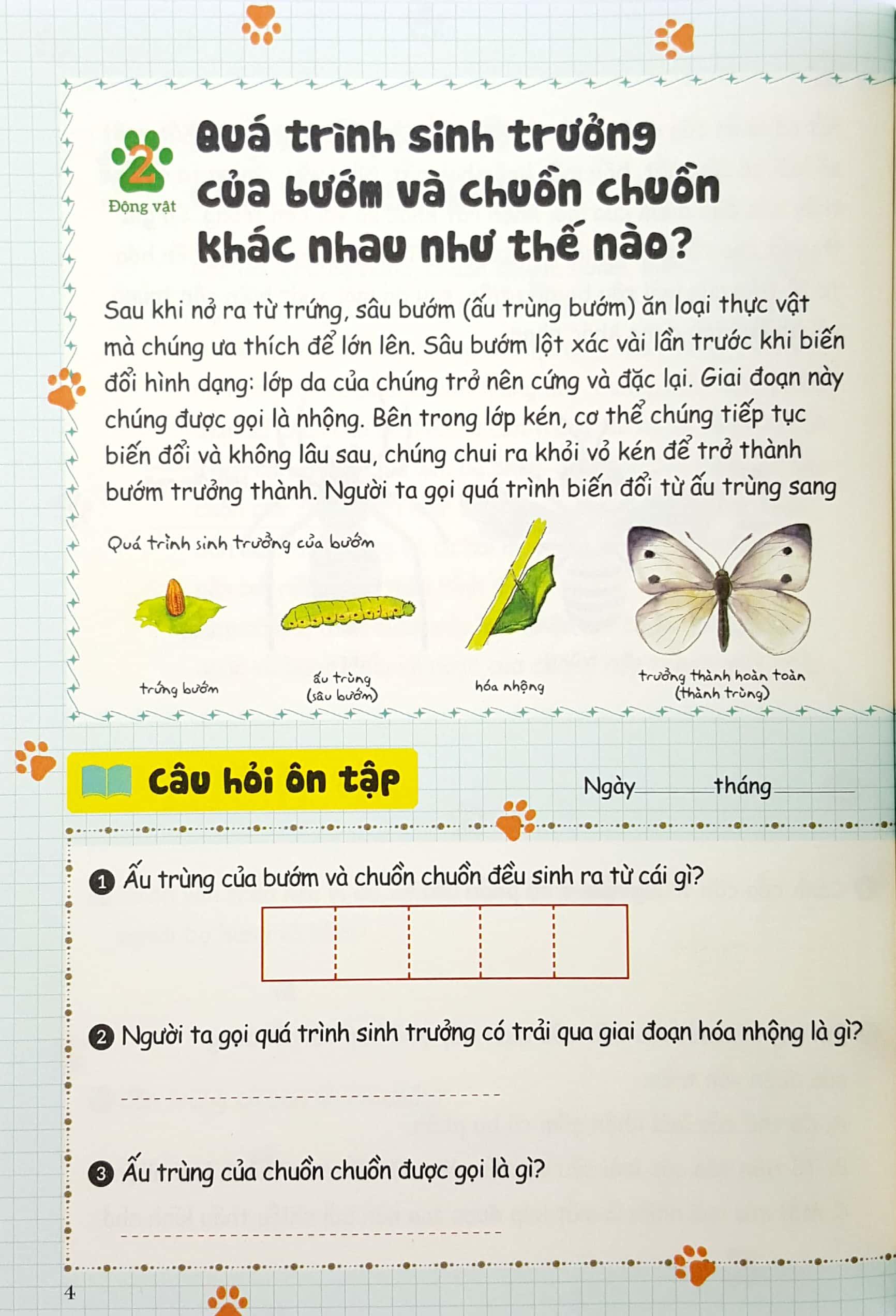 Bồi Dưỡng Kĩ Năng Đọc Hiểu Cho Học Sinh Tiểu Học - Bí Mật Của Tự Nhiên - Quyển 3 (Tái Bản 2019)