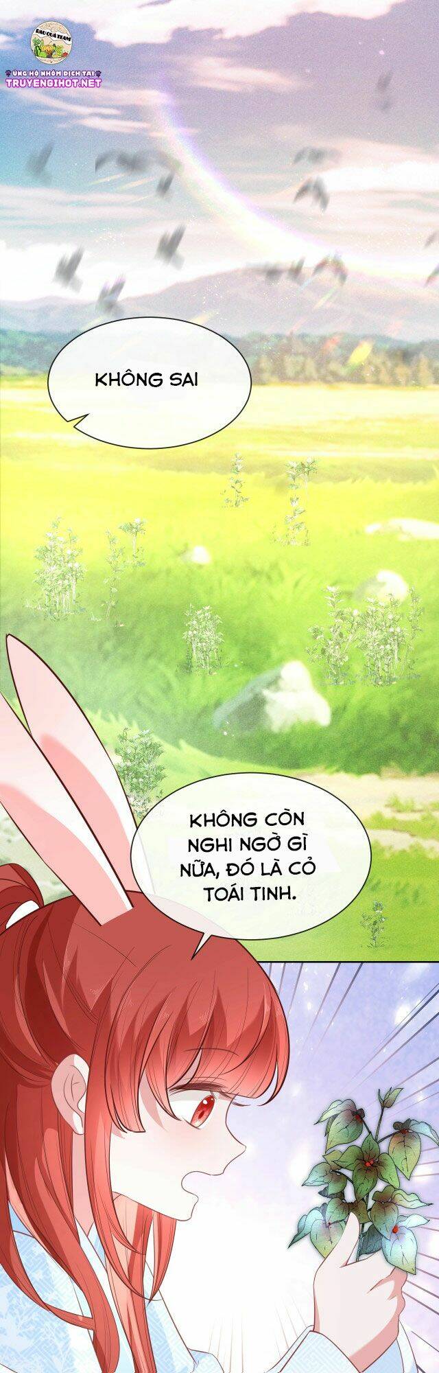 hắc hóa nam chính trực tuyến nuôi thỏ chapter 19 1