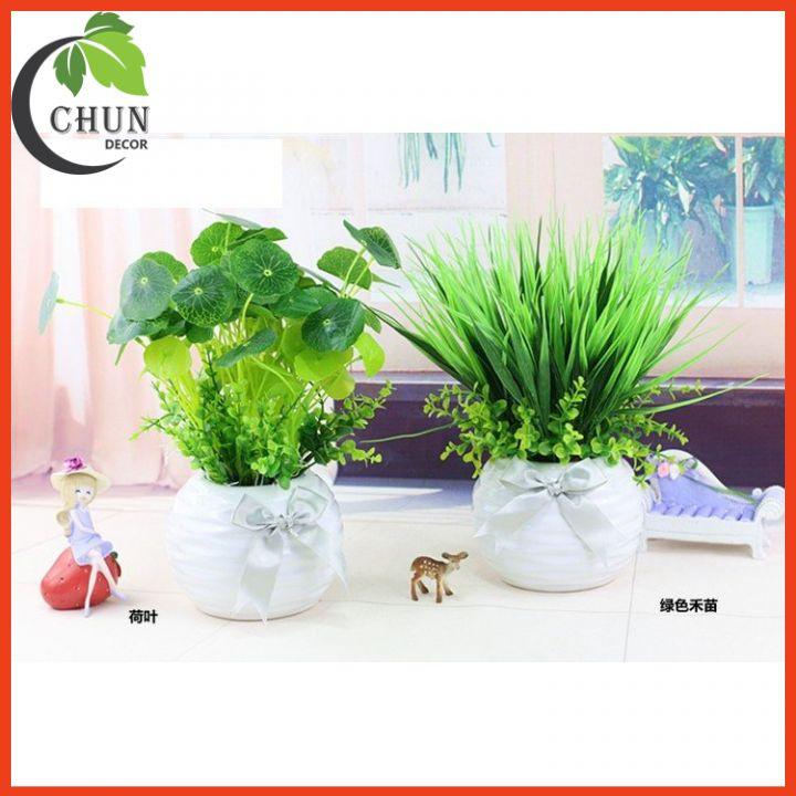 Chậu Cây Rau Má, Chậu Mạ Non Nhân Tạo Để Bàn, Kệ Tủ Trang Trí Nhà Cửa, Cửa Hàng, Văn Phòng, Lớp Học