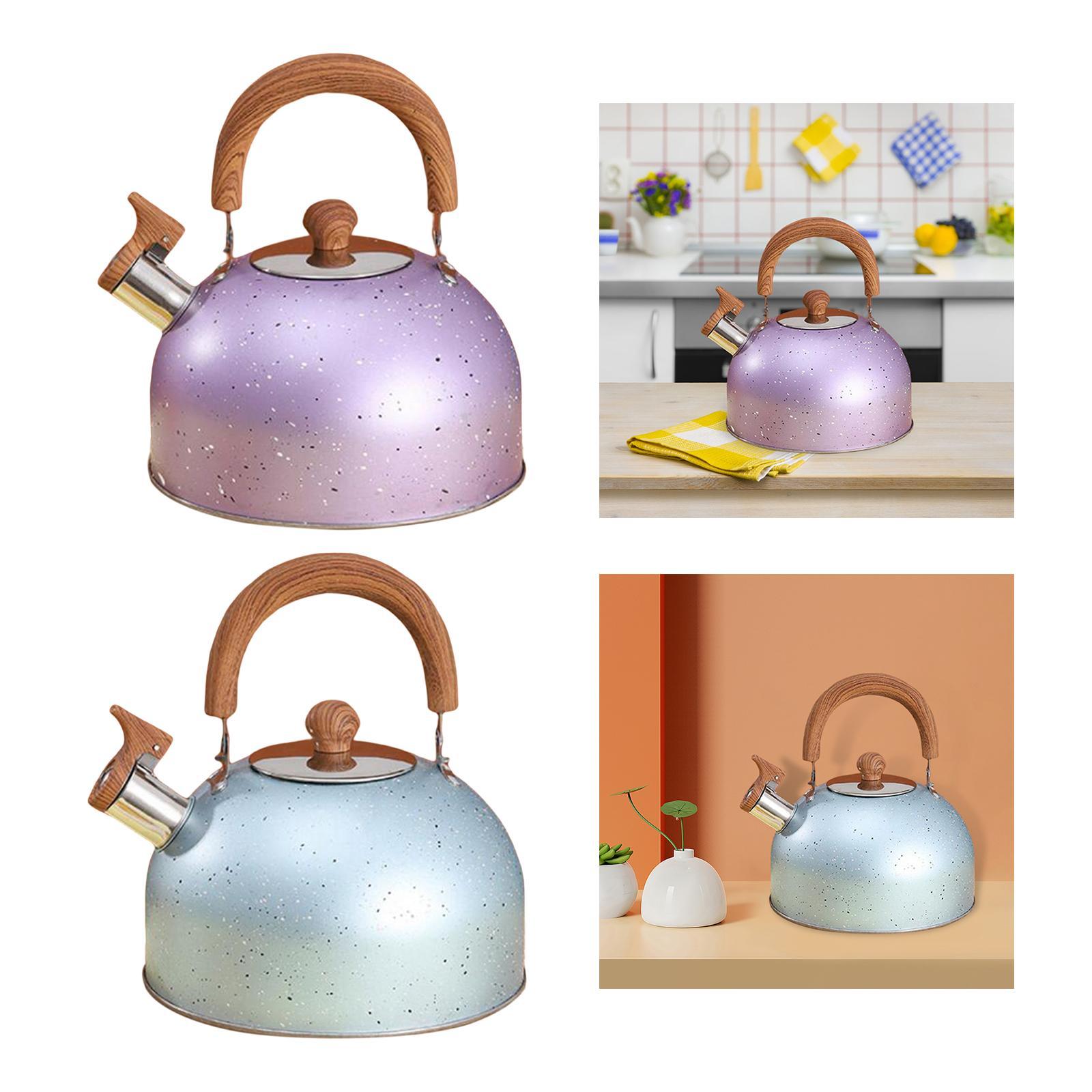 3L Whistle tea Kettle for Boiling water