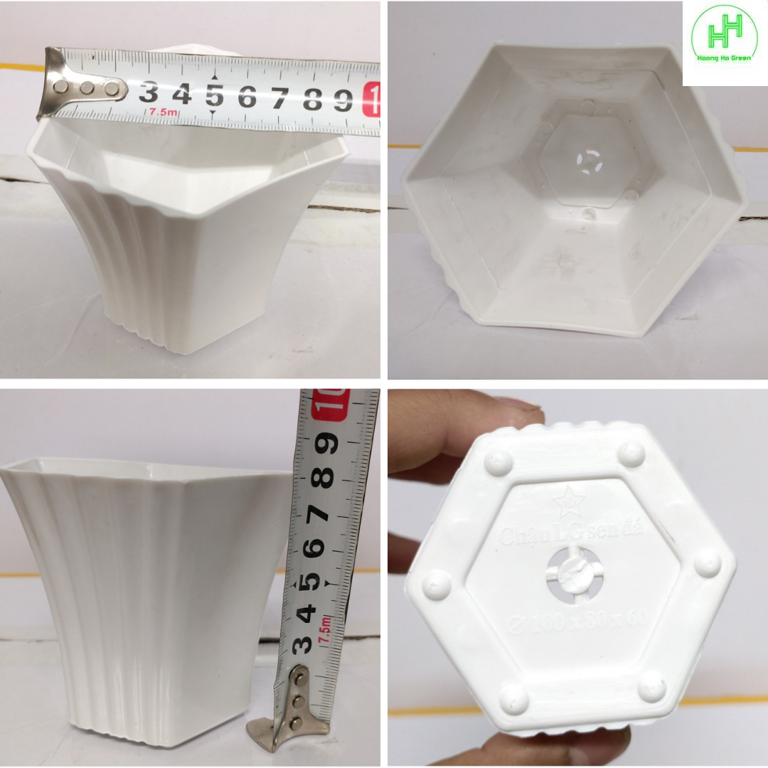 Combo Chậu nhựa Lục giác Sen đá 100x80x60 + đĩa lót chậu 85x10 , trồng cây mini, xương rồng, cây để bàn, sen đá