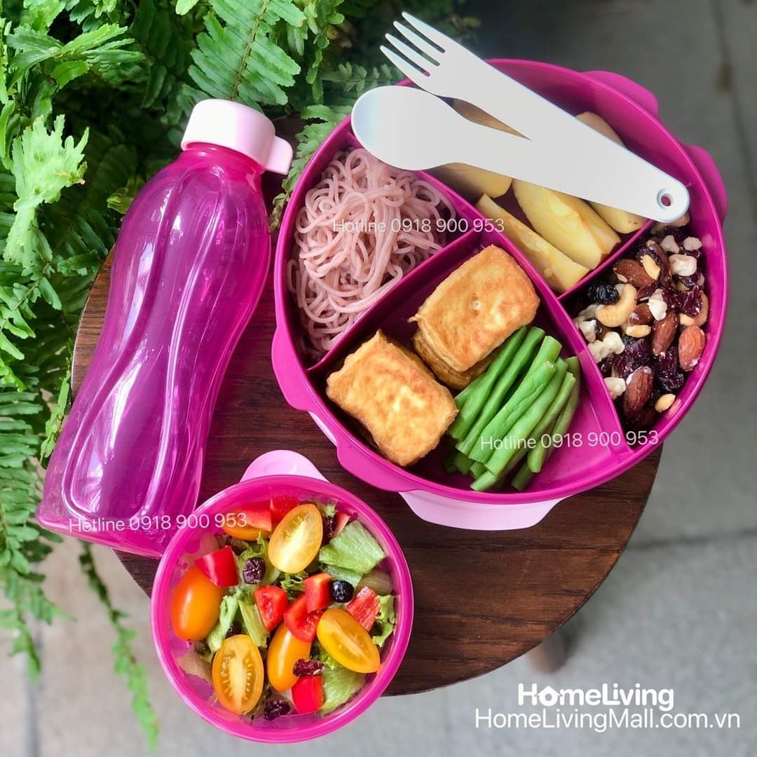 Bộ hộp cơm FIT TO GO - Tupperware chính hãng - bảo hành trọn đời