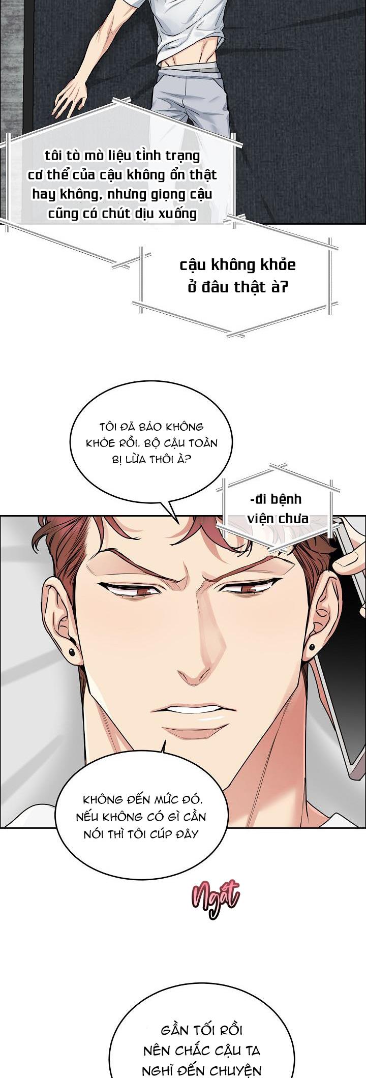 CHÓ VÀ CHIM chapter 12