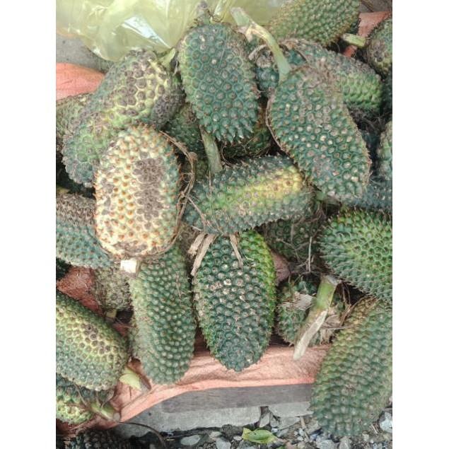 1kg Quả Dứa Rừng Khô, Dứa Dại-Trị Sỏi Thận