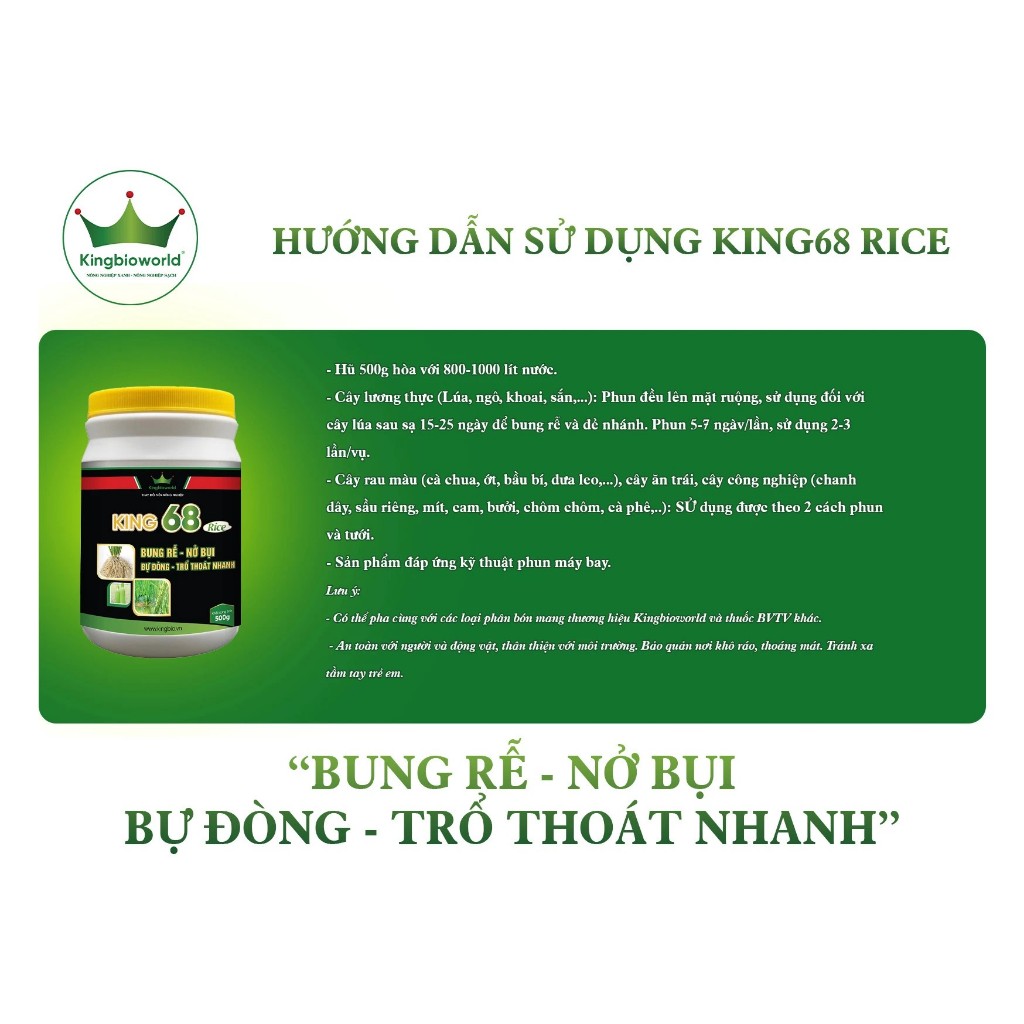King 68 rice - Thuốc kích rễ, nở bụi to, đẻ nhánh nhanh, kích to đòng, bự đòng trổ thoát nhanh