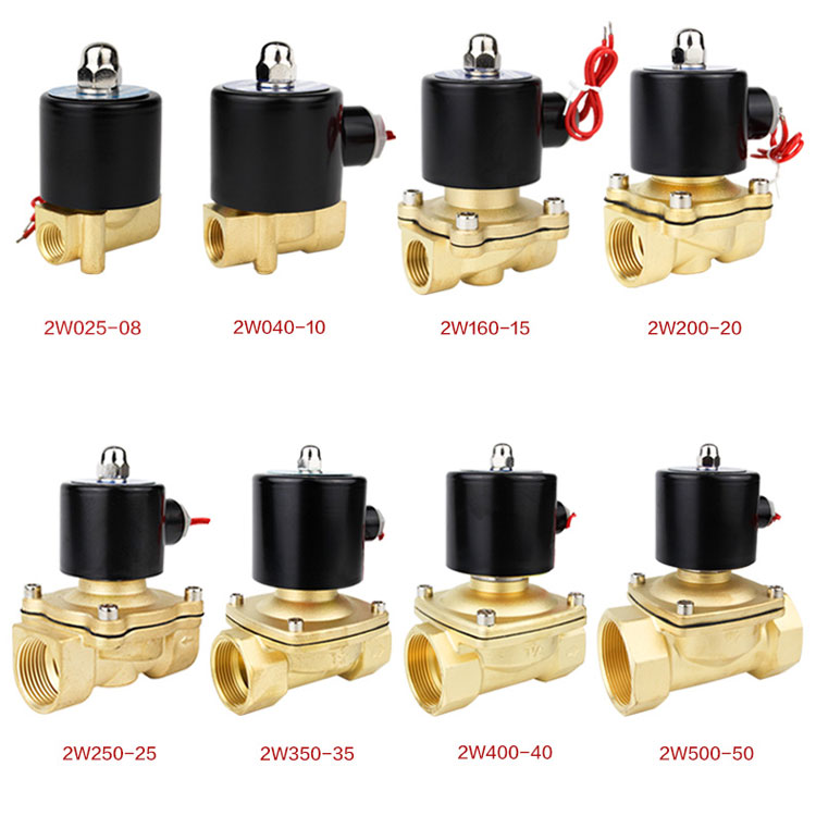 Van điện từ 2W-250-25 24V ren 32mm