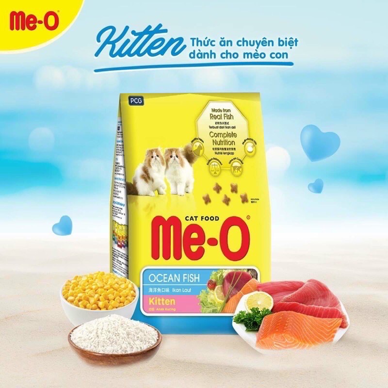 Hạt meo mèo con