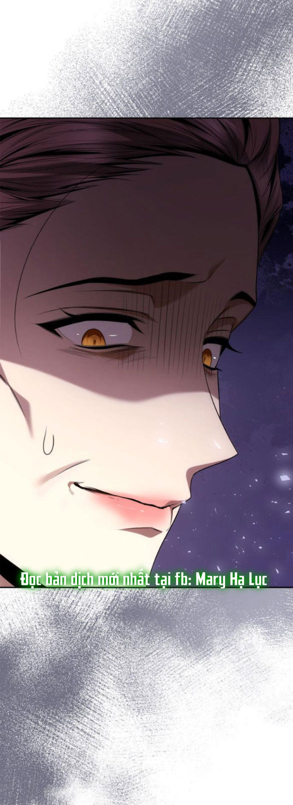 chị yêu, kiếp này em sẽ là hoàng hậu chapter 100.1 25