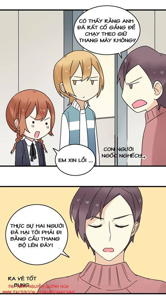 tình yêu! bắt đầu từ ngày hôm nay chapter 8 29