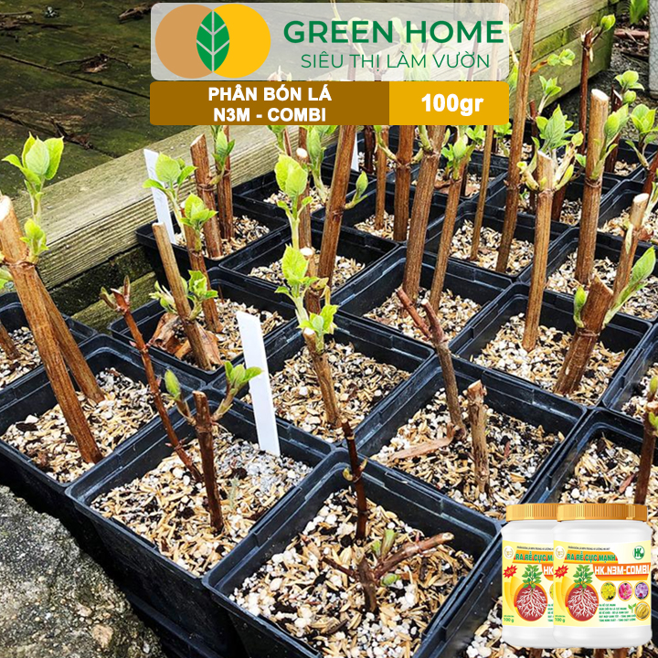 Phân Bón Lá Greenhome, N3M Combi, Hũ 100gr, Ra Rễ Cực Mạnh Dùng Giâm, Chiết Cành, Ngâm Hạt, Kiểng