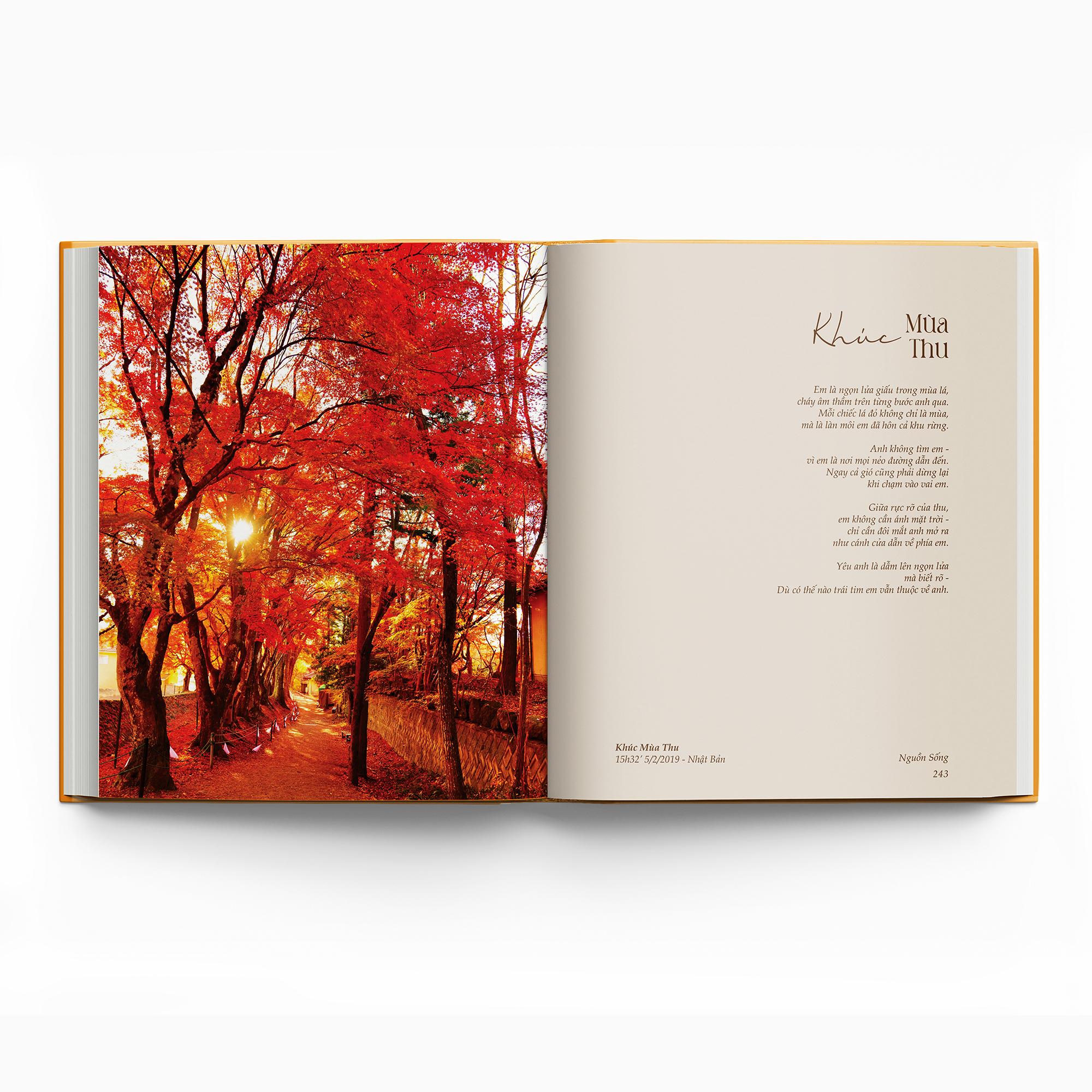 Sách - Nguồn Sống - Bìa Cứng