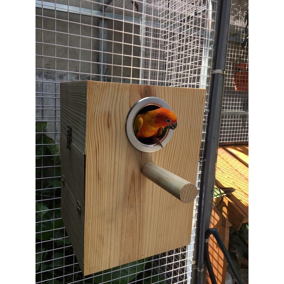 1 TỔ SUN CONURE GỖ THÔNG MỸ ,DÀY, CHẮC CHẮN , CÓ BO VIỀN NHÔM VÀ LÓT KIM LOẠI BÊN TRONG TỔ