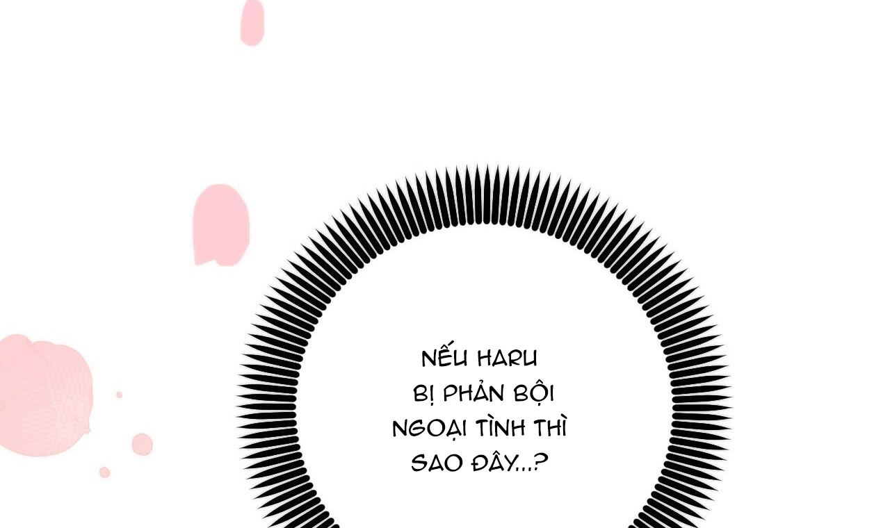 đàn thỏ của habibi chapter 44 124