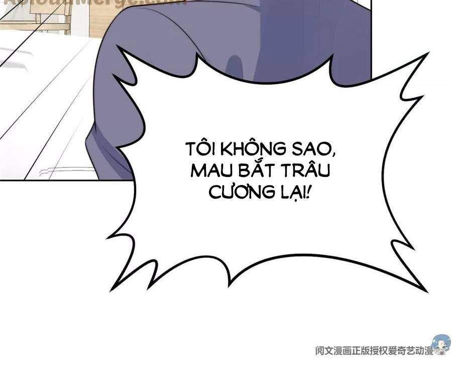 dựa vào đại lão ổn định vị trí c trong nam đoàn chapter 66 25