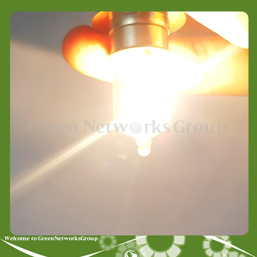 Bóng đèn pha Halogen Sun Shing SpotLight 12V 18-18W chân M5 Green Networks Group