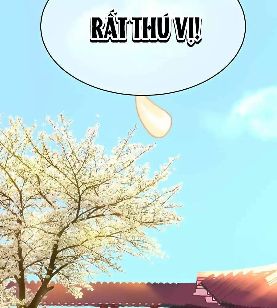 quyền phi chi đế y phong hoa chapter 1.2 49