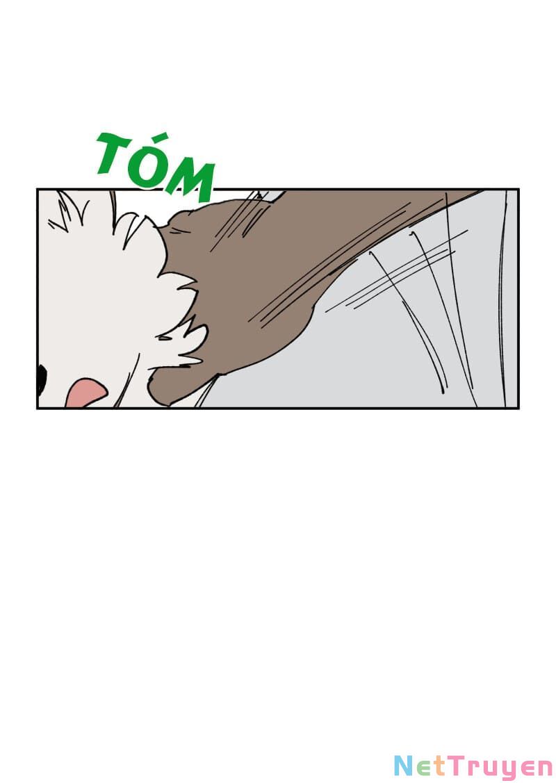 lumine - cội nguồn ánh sáng chapter 107 44