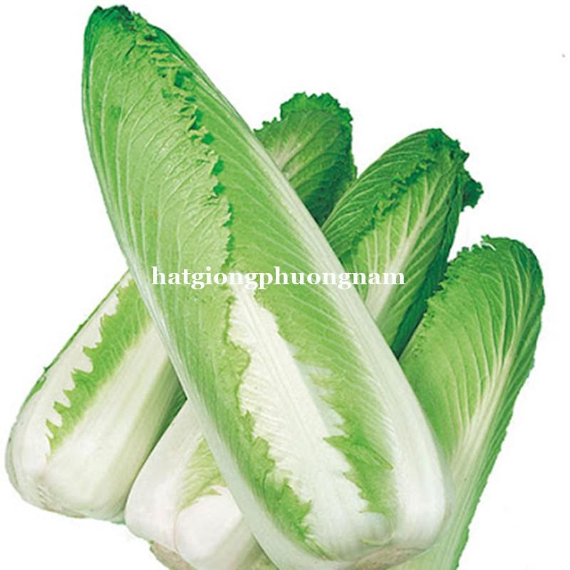 0,5GR - HẠT GIỐNG CẢI THẢO NHẬT