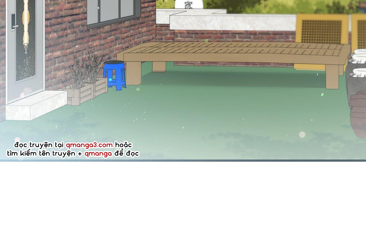 đàn thỏ của habibi chapter 35 228