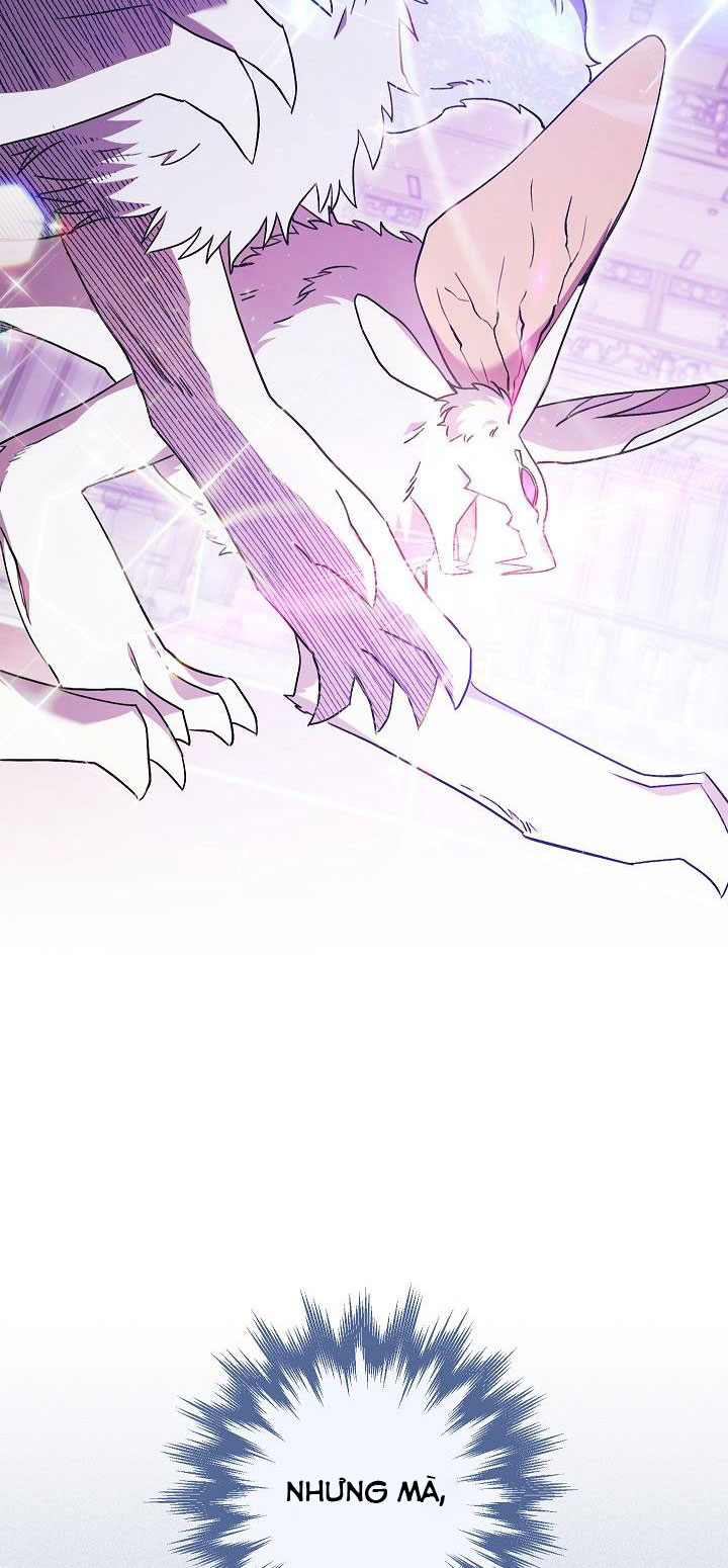 tiểu thư của những lá bài chapter 20 32