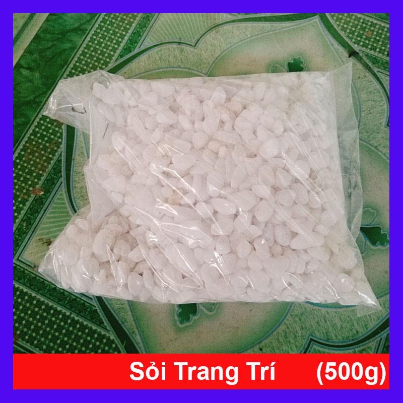 Đá sỏi trang trí chậu cây - 500g - Đá cuội sỏi chuyên trang trí bể cá, sân vườn - Dòng sỏi trắng cao cấp