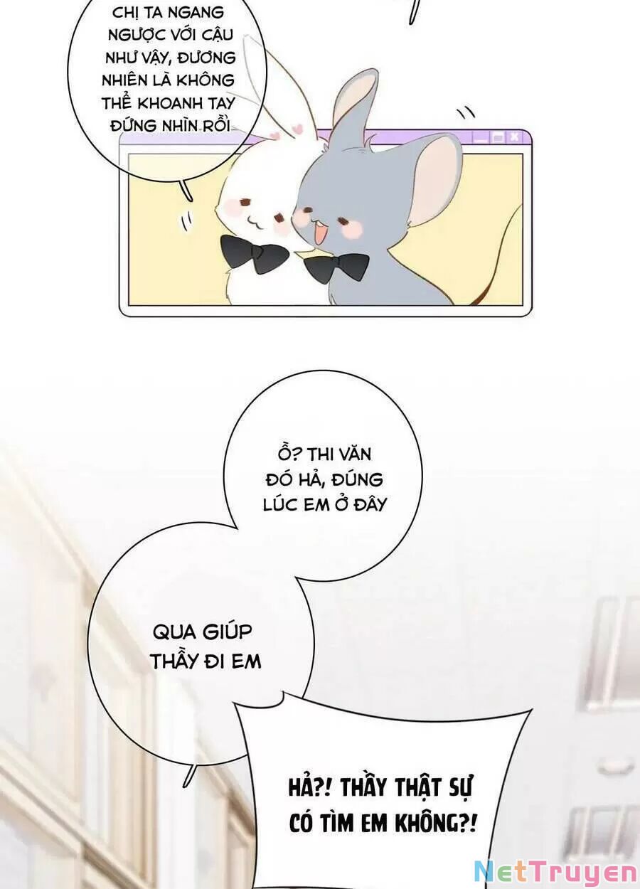 con tim rung động 2 chapter 145 14