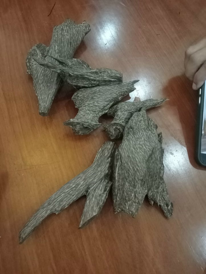 Trầm hương miếng hàng đẹp chuẩn rừng Tiên Phước Quảng Nam - Trầm sạch tốt cho sức khỏe