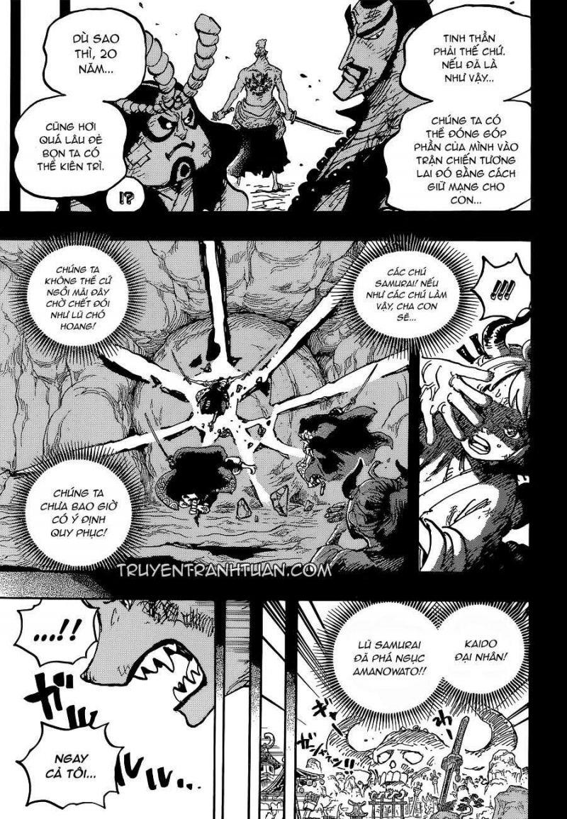 đảo hải tặc - one piece chapter 1024 17