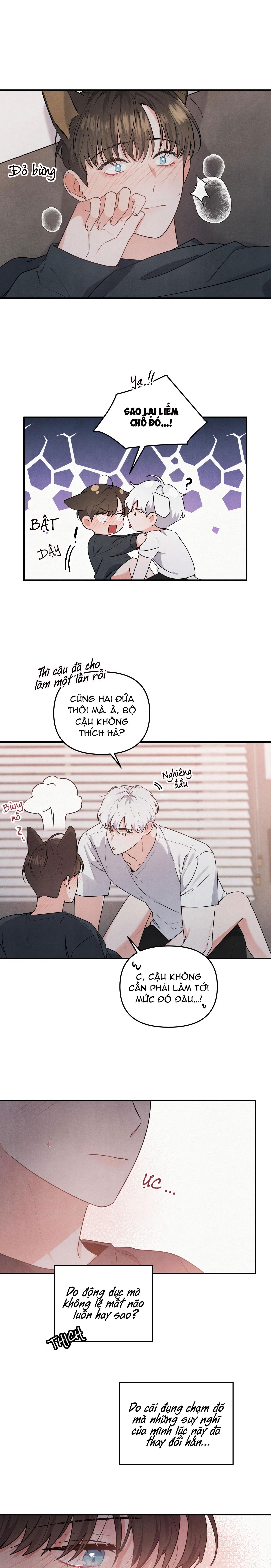 mối quan hệ ngu ngốc chapter 5 10