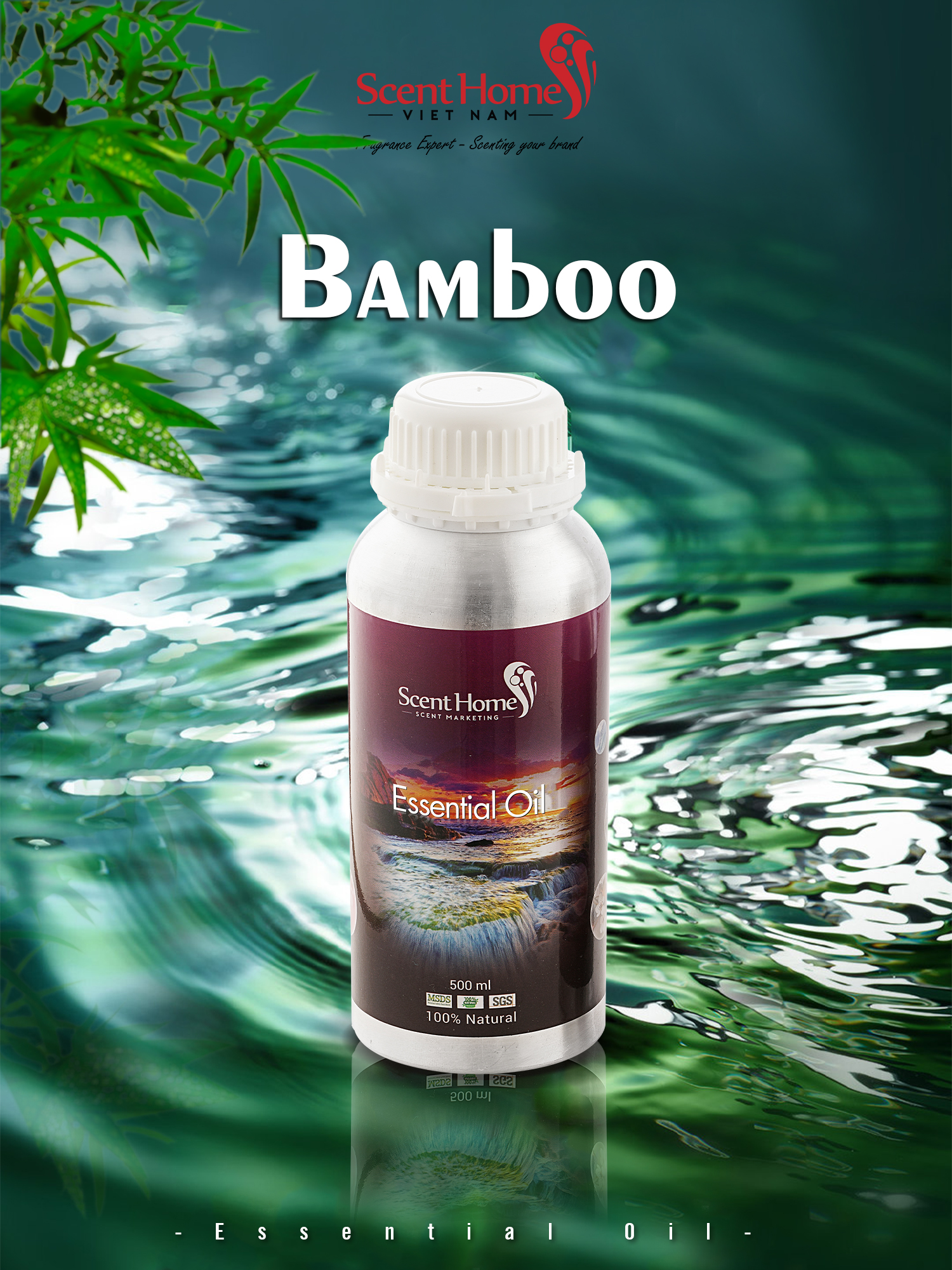 Tinh dầu Scent Homes - mùi hương (Bamboo)