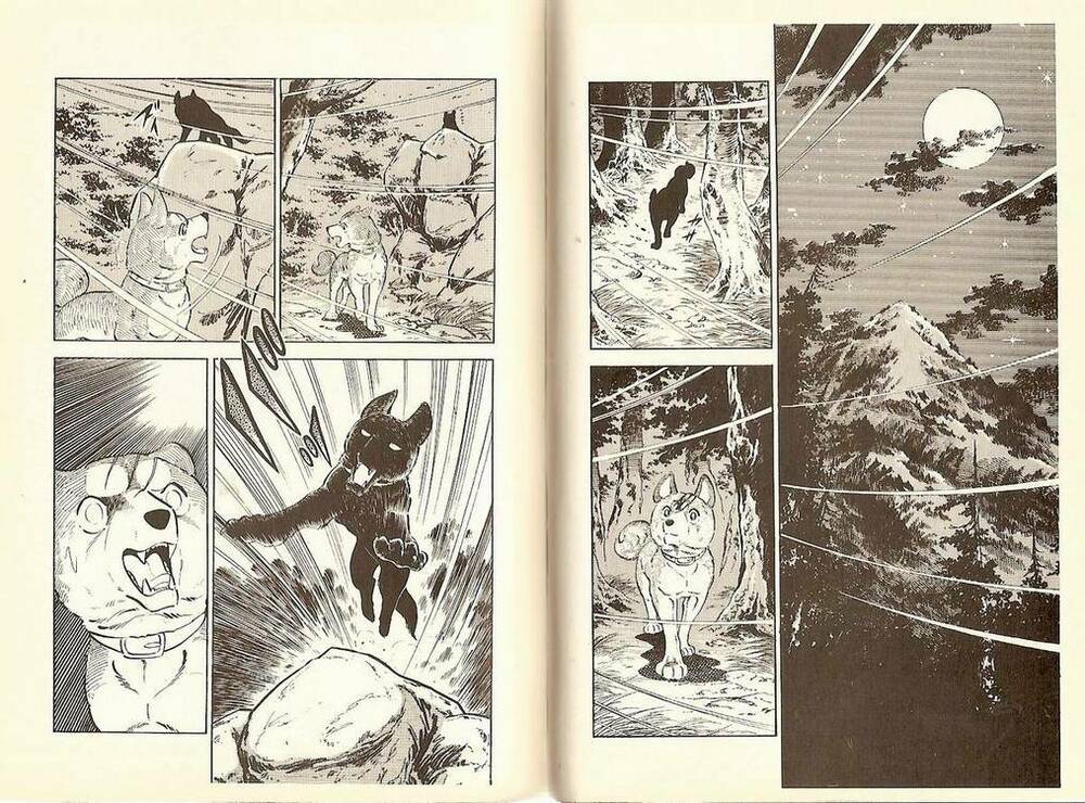 chú chó có nghĩa - ginga nagareboshi gin chapter 10 6