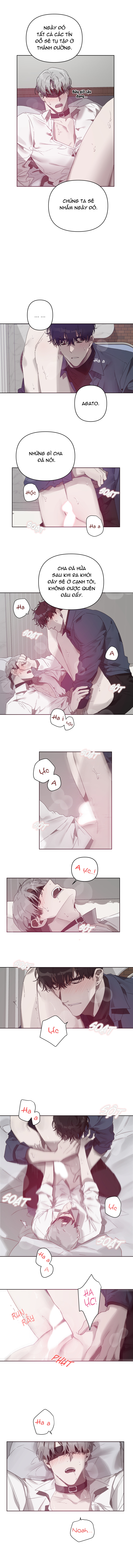 trái ngọt nơi đầu lưỡi chapter 5 4