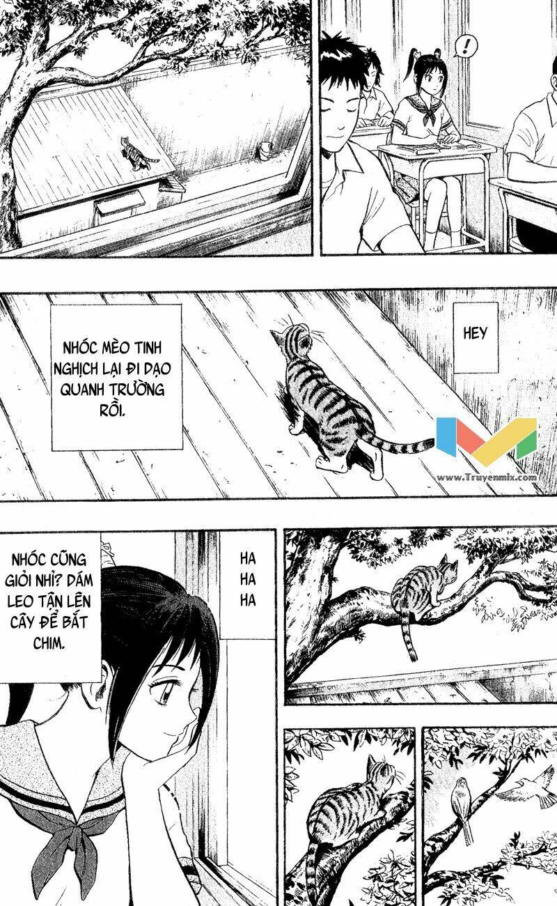 animal sense chapter 1 13