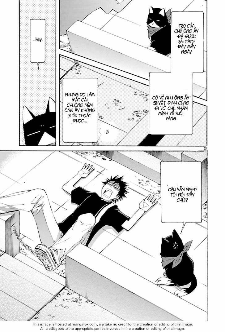 nyankoi! chapter 25 25