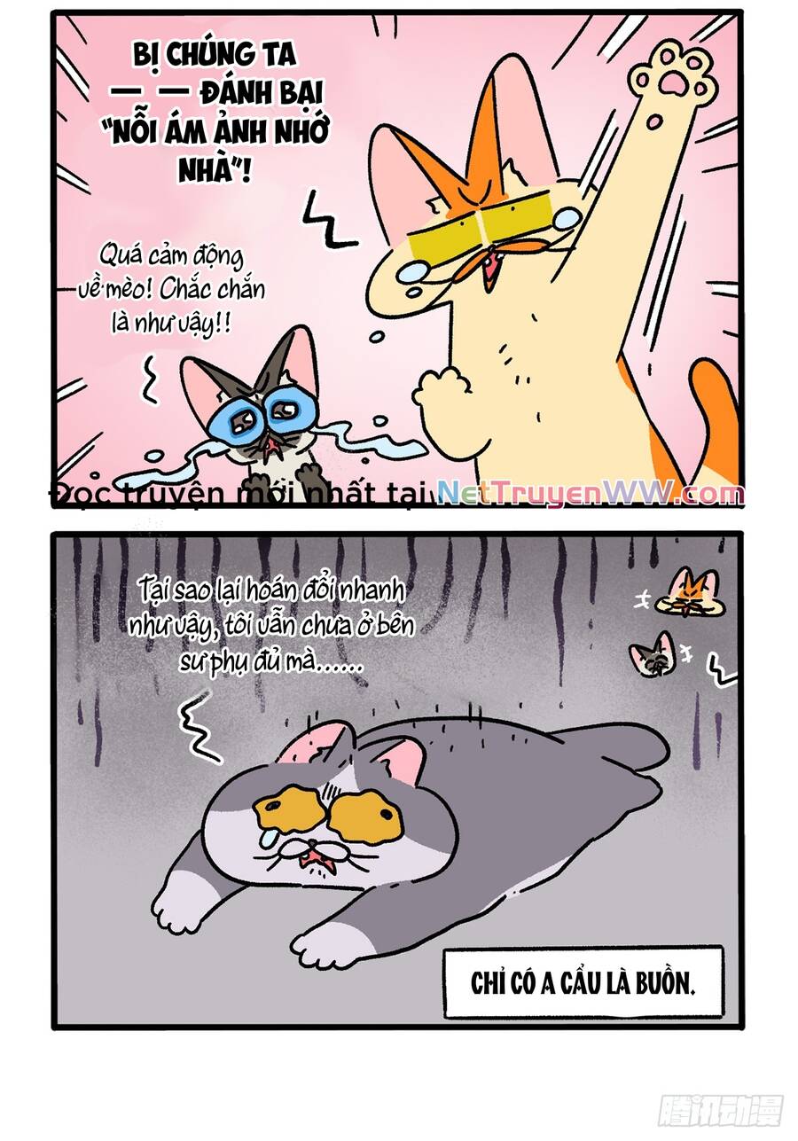 a mãn và mạch trà chapter 155.1 4