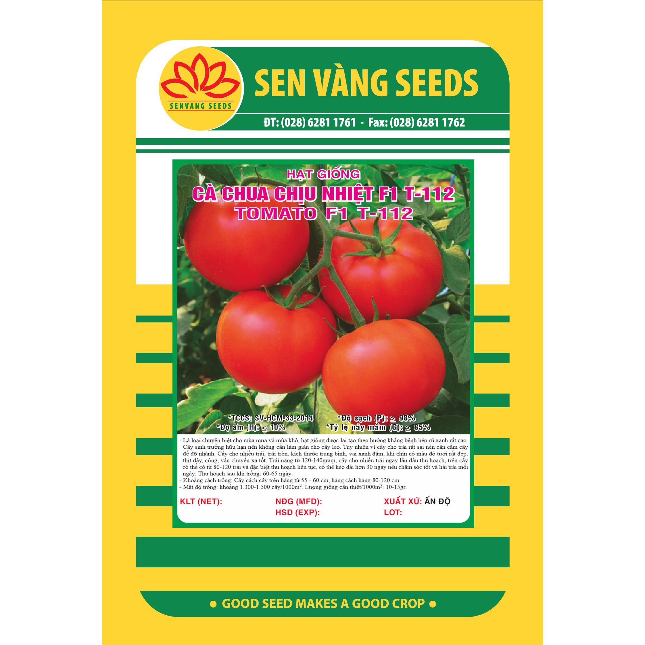 Hạt giống cà chua chịu nhiệt F1 kháng bệnh quả to VTS15