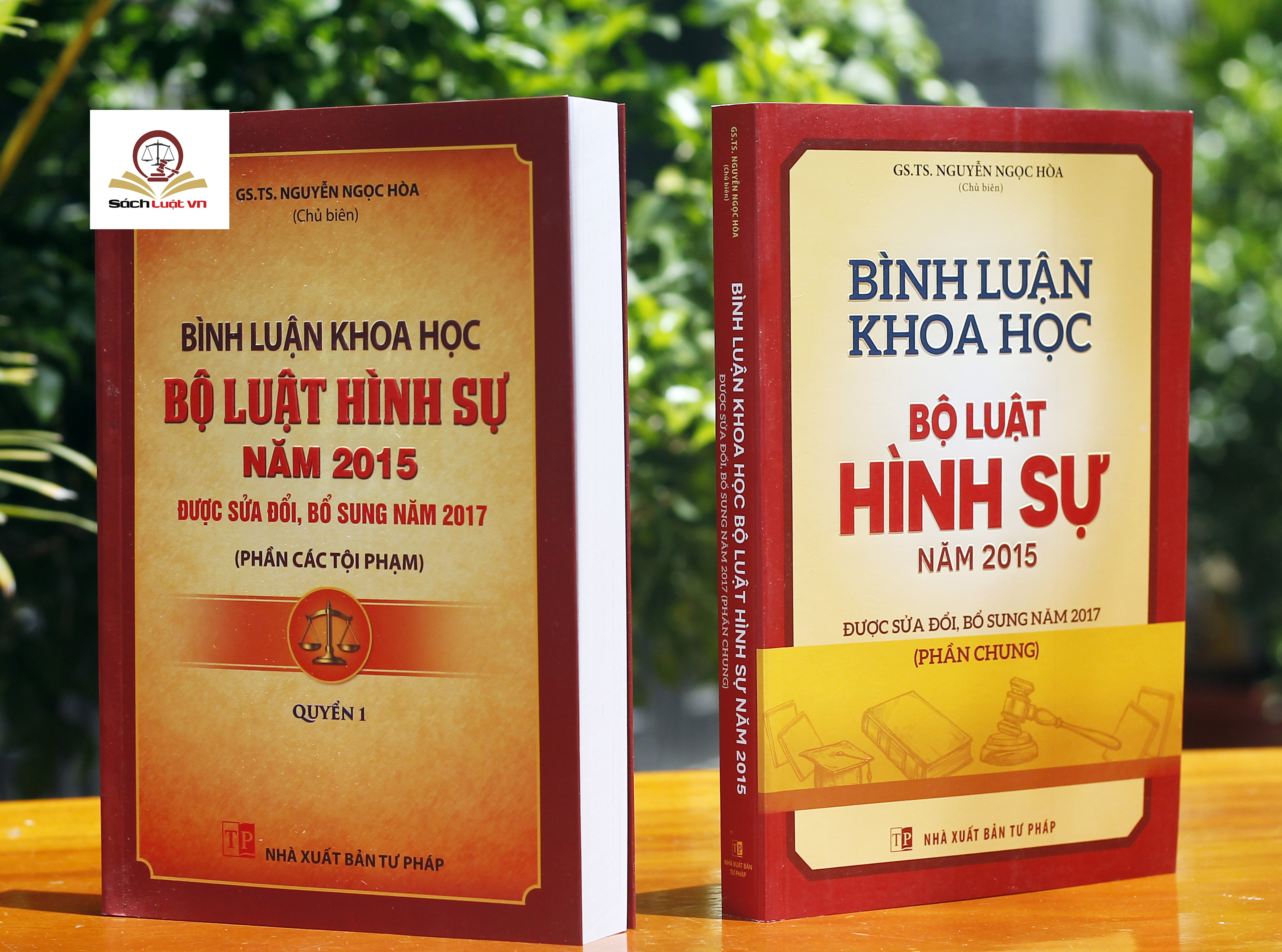 Combo 2 Cuốn: Bình Luận Khoa Học Bộ Luật Hình Sự 2015 Được Sửa Đổi, Bổ Sung Năm 2017 (Phần Chung) + (Phần Các Tội Phạm) - Quyển 1