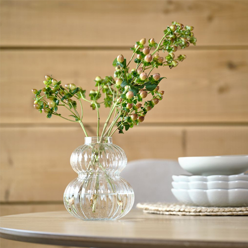 Lọ hoa | JYSK Buster | thủy tinh | màu trong suốt | DK14xC16cm
