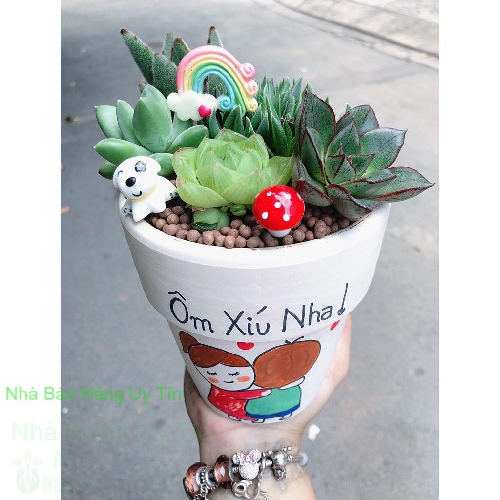 Các mẫu chậu sen đá tiểu cảnh
