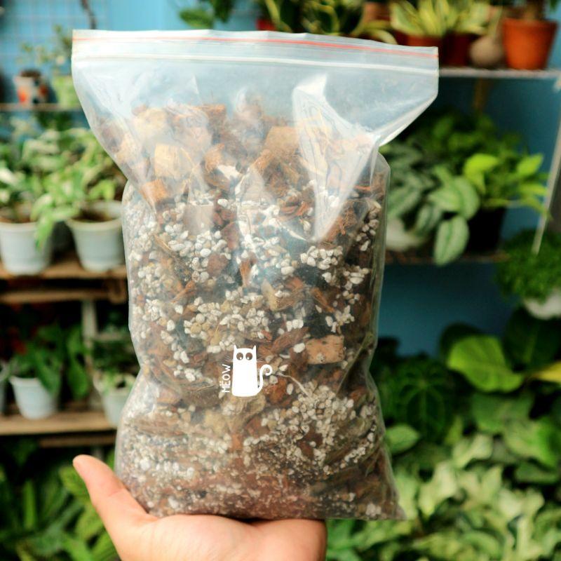 Giá thể trồng kiểng lá MEOW CHUNKY trộn sẵn | Đất trồng cây trong nhà, cây nội thất, Monstera
