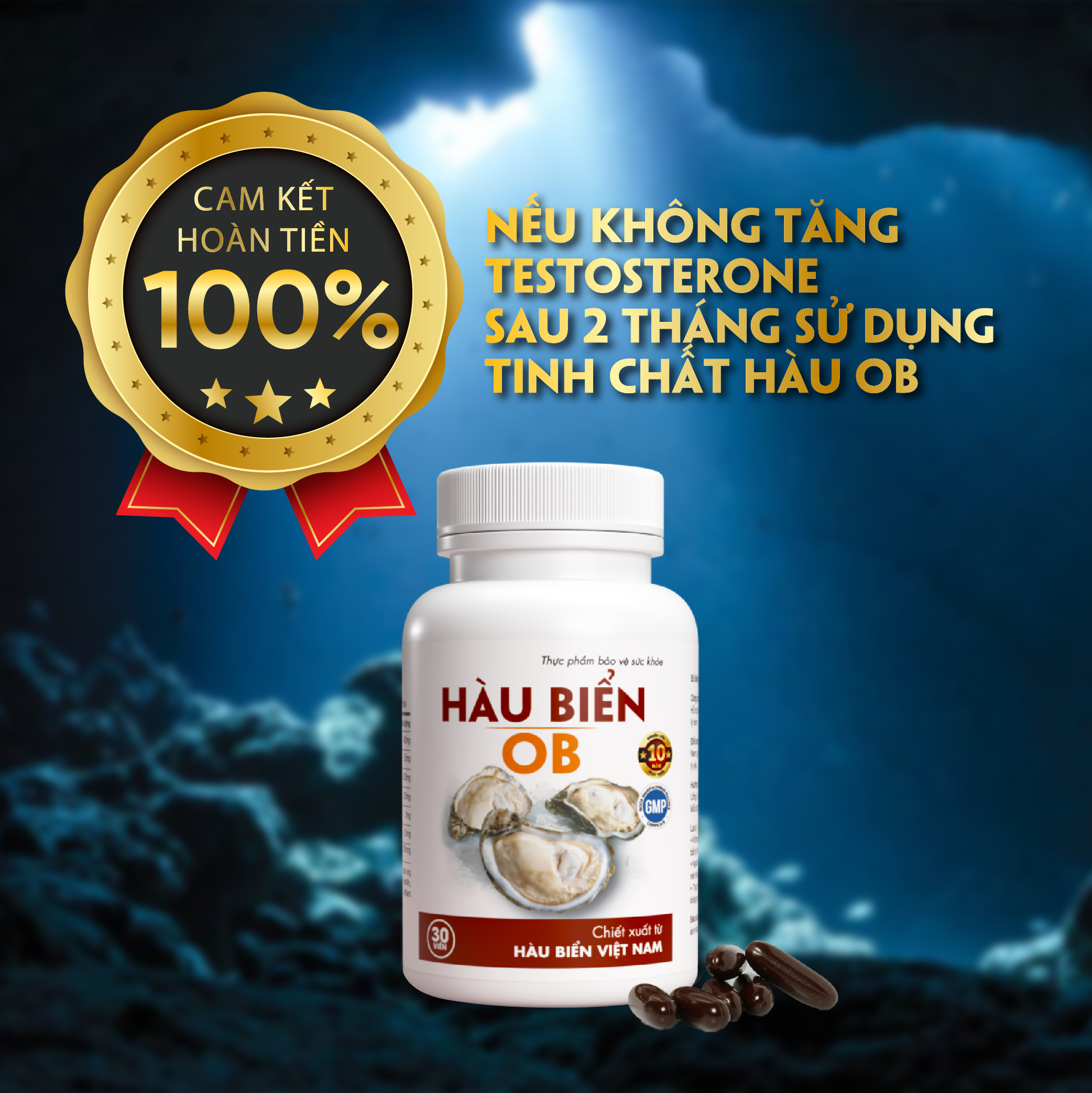 Viên uống Tinh Chất Hàu biển OB - Tăng cường sinh lý nam, Bổ Thận, Tăng Chất Lượng Tinh Trùng, hộp 30v